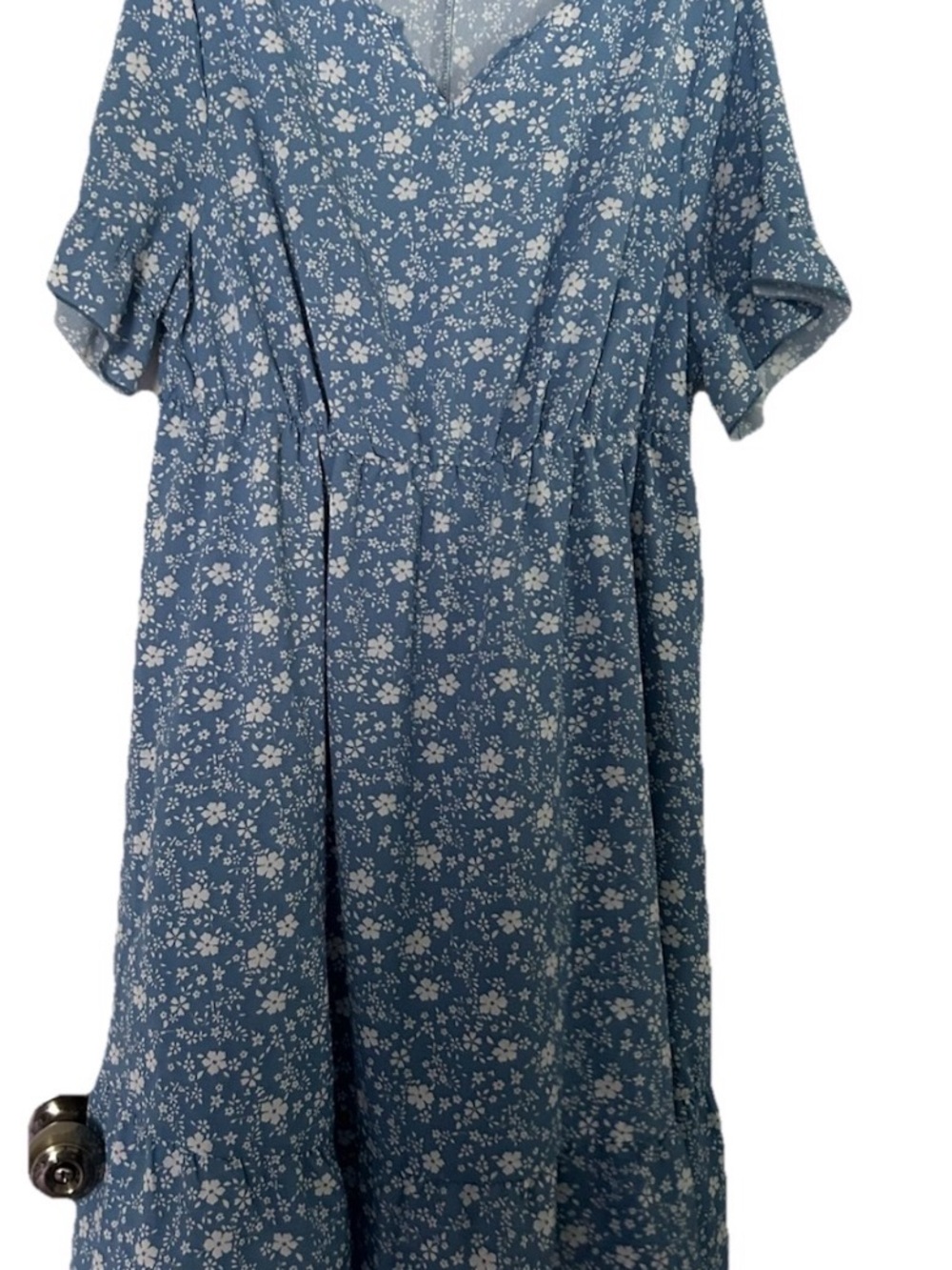 Women’s ' Blue Floral Short-Sleeve Dress